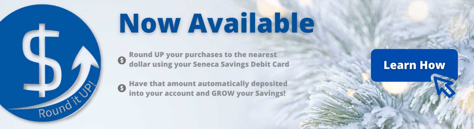 round up your debit card purchases to grow your savings with seneca savings