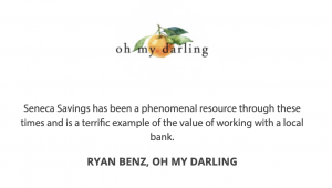 ryan benz oh my darling testimonial for seneca savings bank